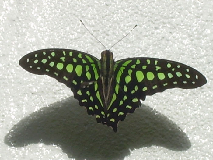 DSCN1046