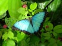 DSCN1028