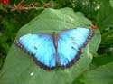 DSCN1031