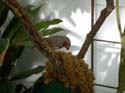DSCN1040