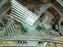 way down the centrum