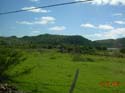 DSCN0156